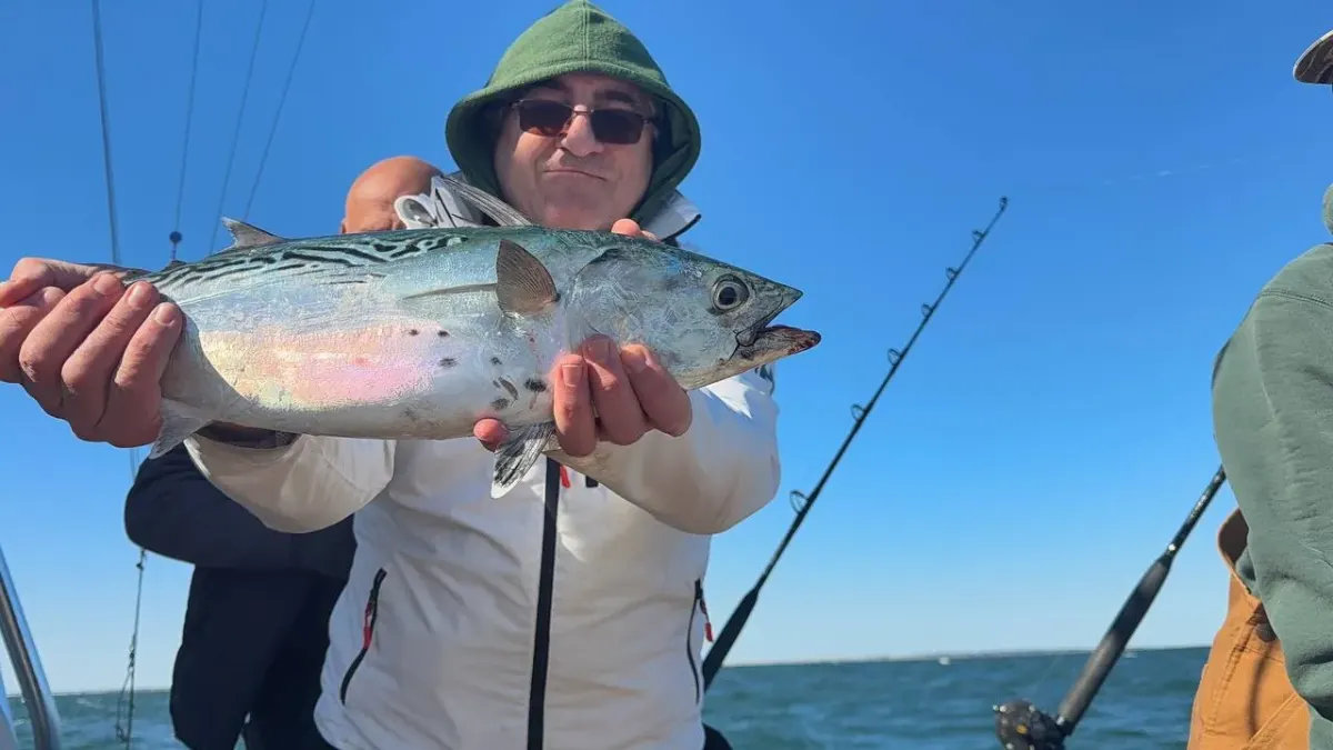 Person in sunglasses holding a silvery fish on a boat, with ocean and fishing rods in the background